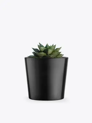 product-image-3_optimized Augue Neque